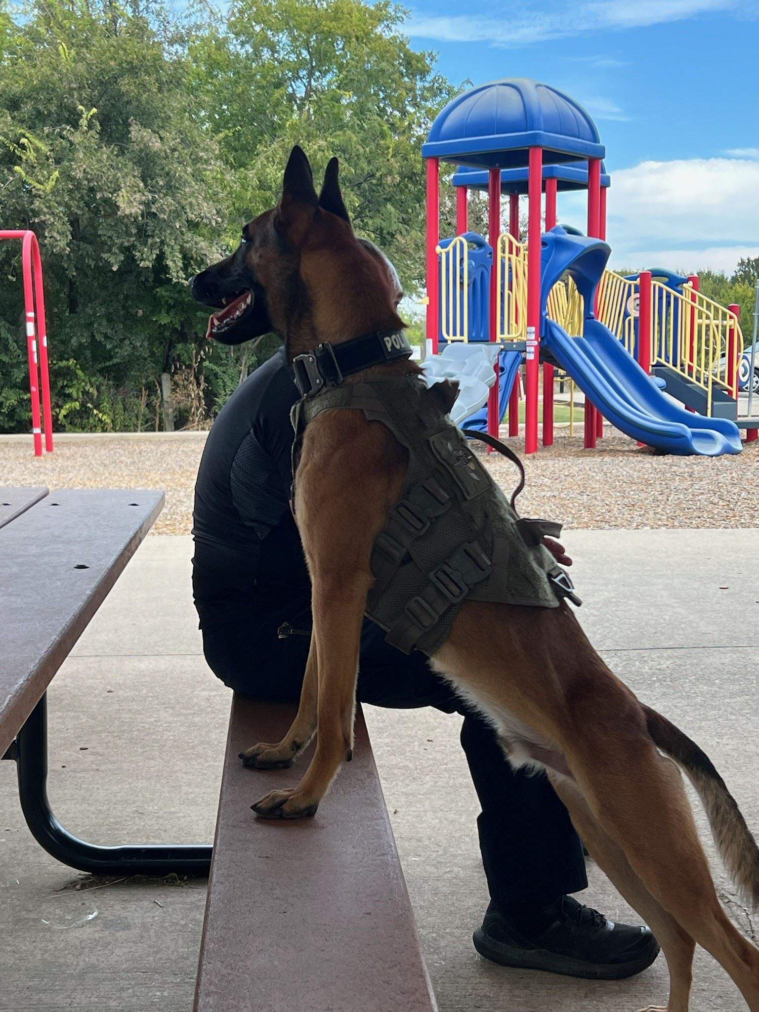 Choe sitting at a picnic table