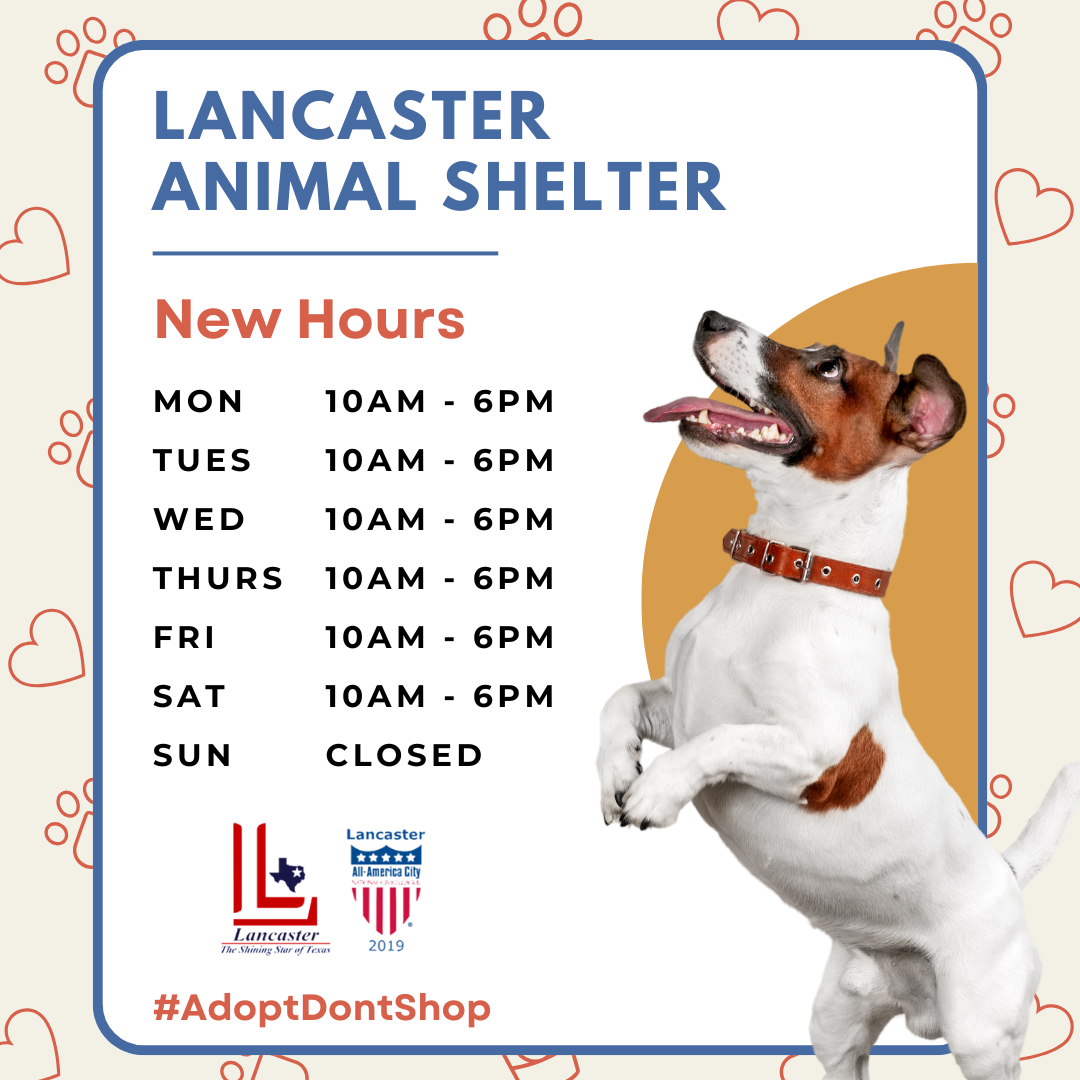 Animal Shelter New Hours 2024 