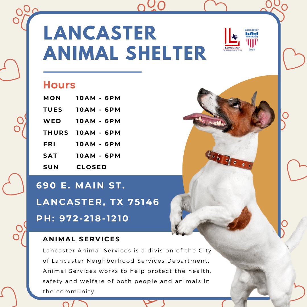 Animal Shelter New Hours 2024 