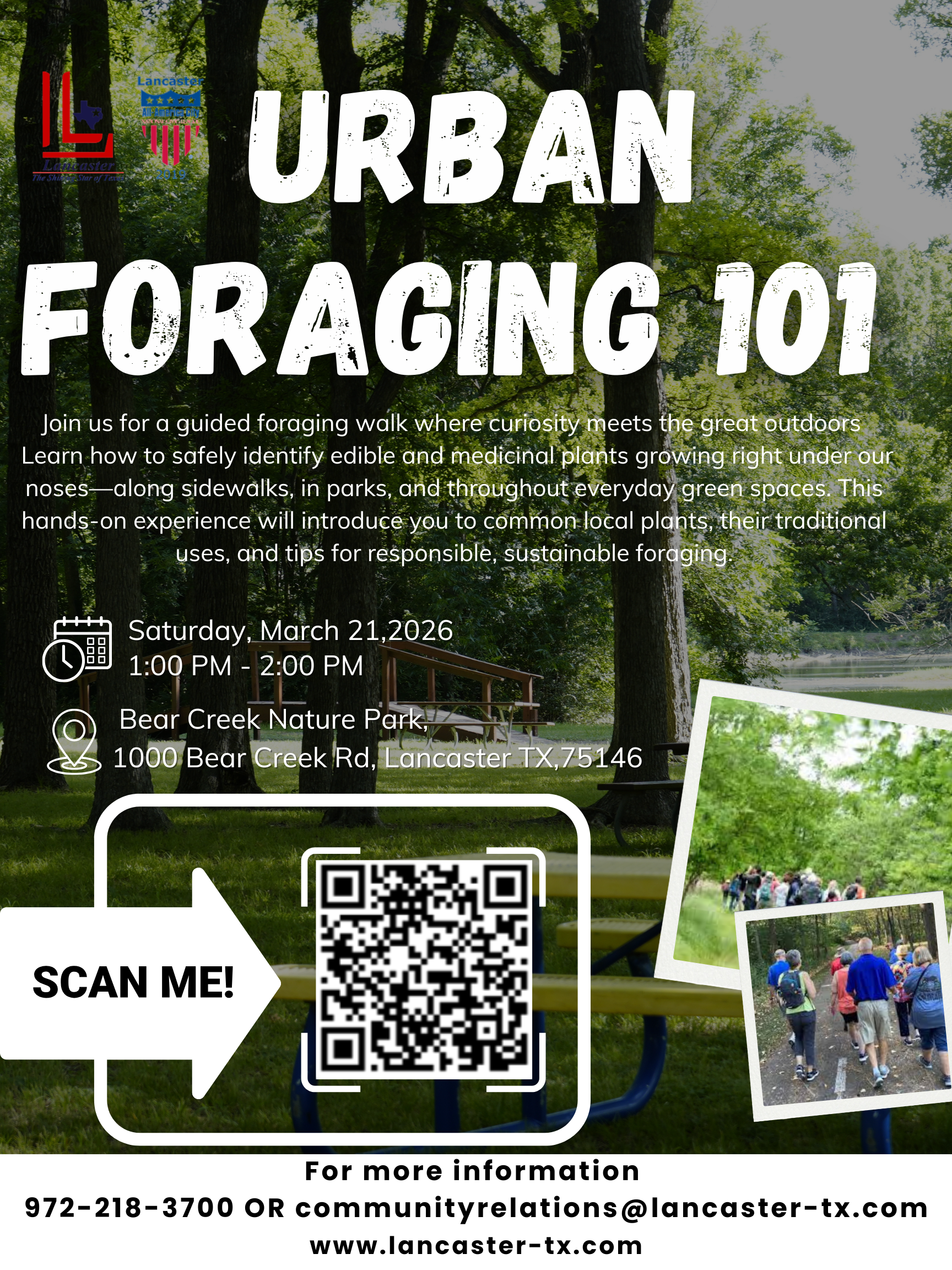 Urban Foraging 101